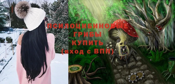 гидра Алзамай