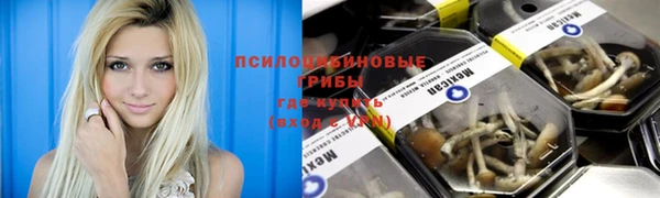 метадон Алексеевка