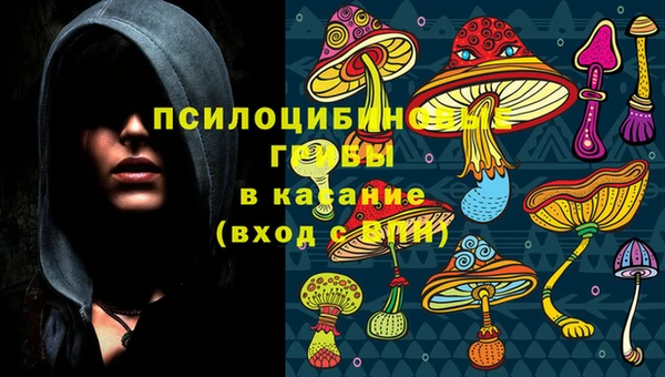 гидра Алзамай