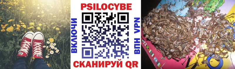 Псилоцибиновые грибы мухоморы  Нефтекумск 